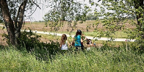 Children Viewing Open Field