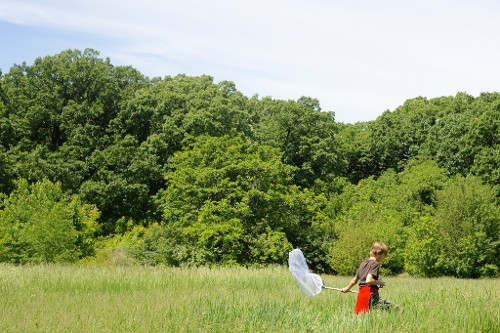 Kid in the Field