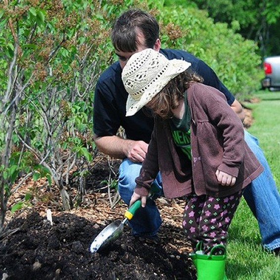 Planting